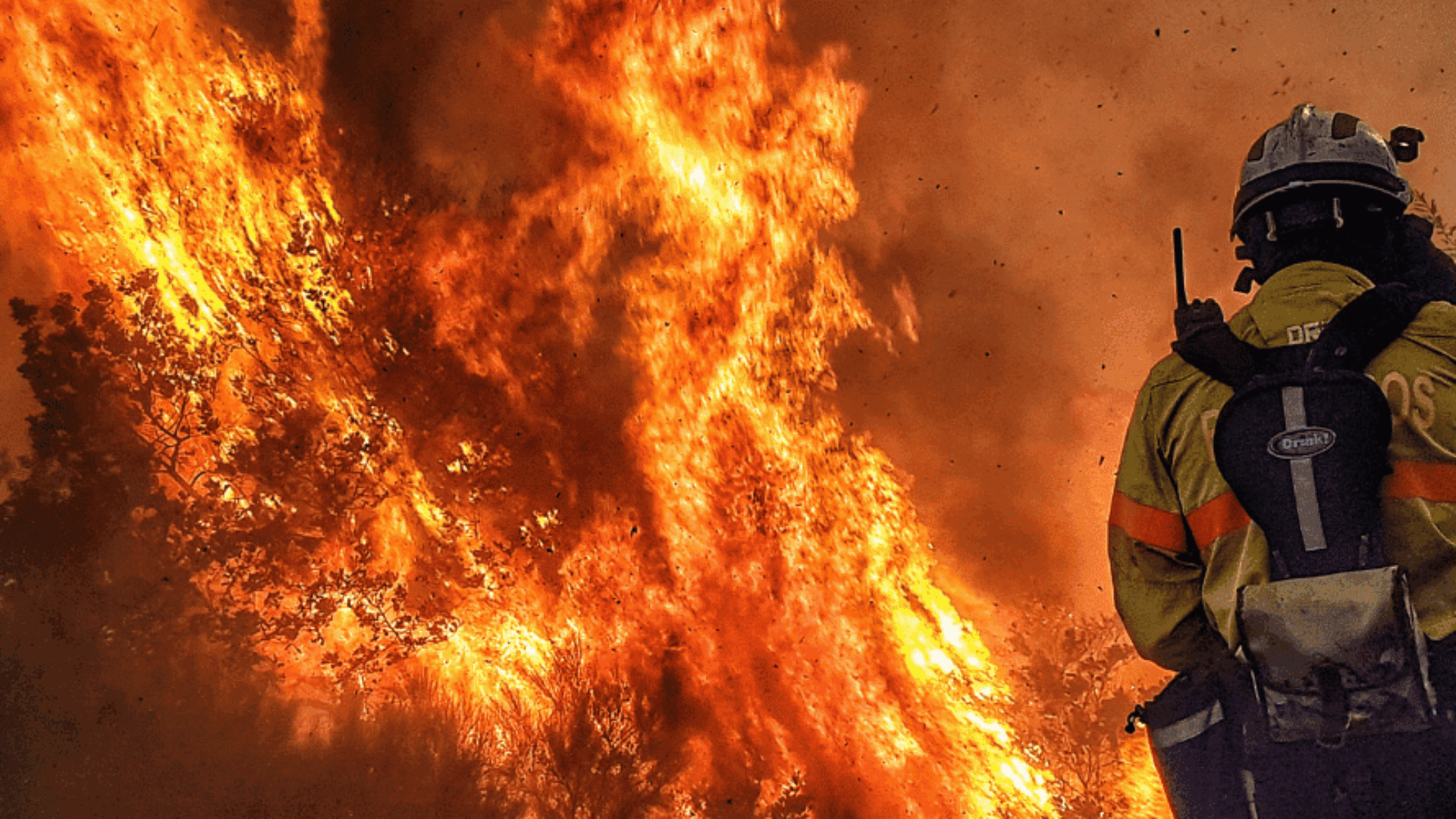 Waldbrand bekämpfen mit den passenden Produkten von Idex
